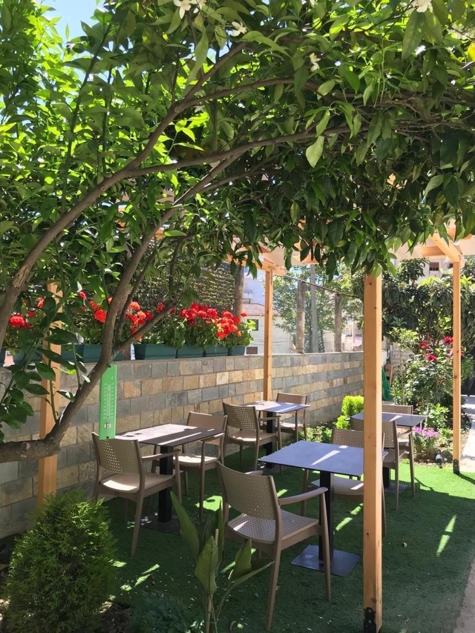 Villa Qeli Αργυρόκαστρο Εξωτερικό φωτογραφία